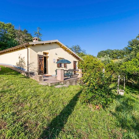 Holiday Home Grilli By Interhome Scansano Buitenkant foto