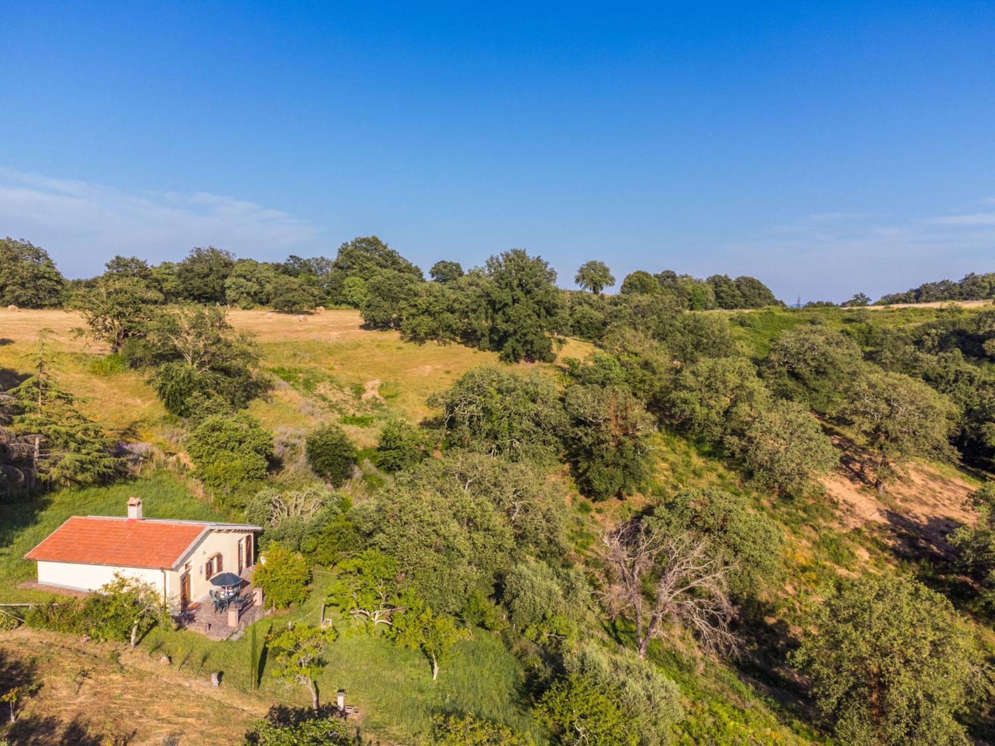 Holiday Home Grilli By Interhome Scansano Buitenkant foto